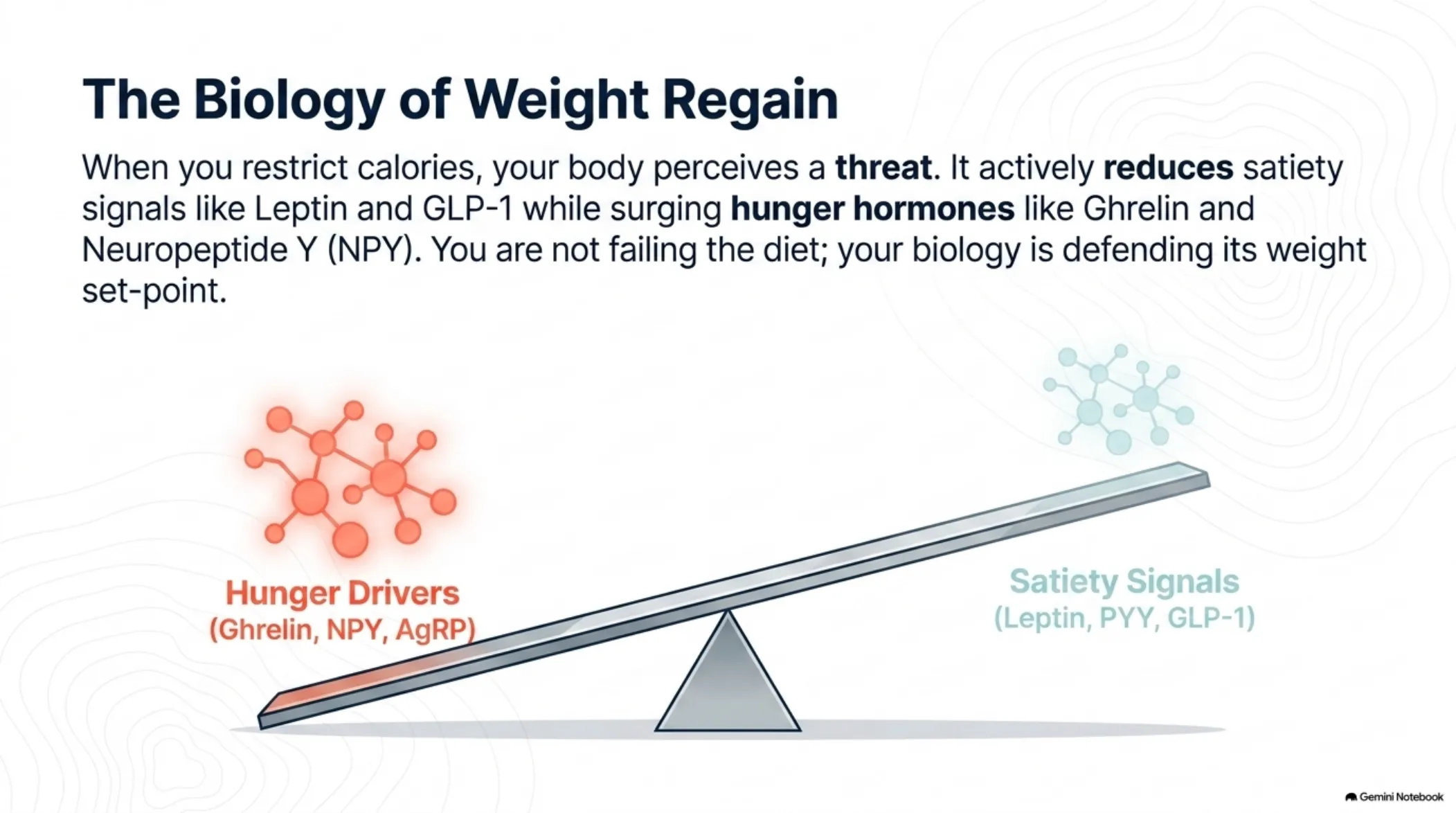 Protein & Muscle: The Research on Preserving Lean Mass While Losing Weight